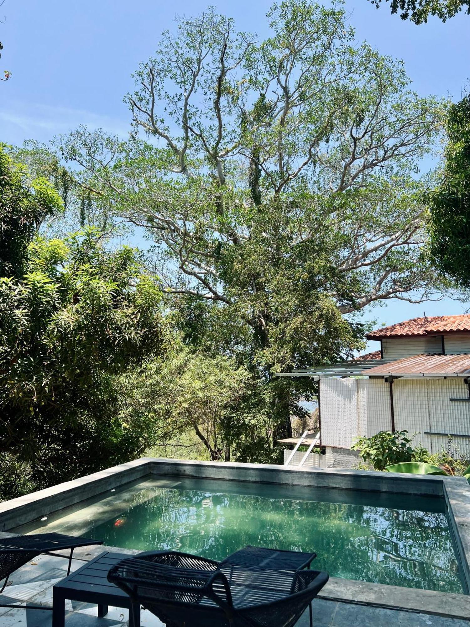 Hostel-island Paradise, Saboga And Noelia (adults Only) Hotel Panama Stadt