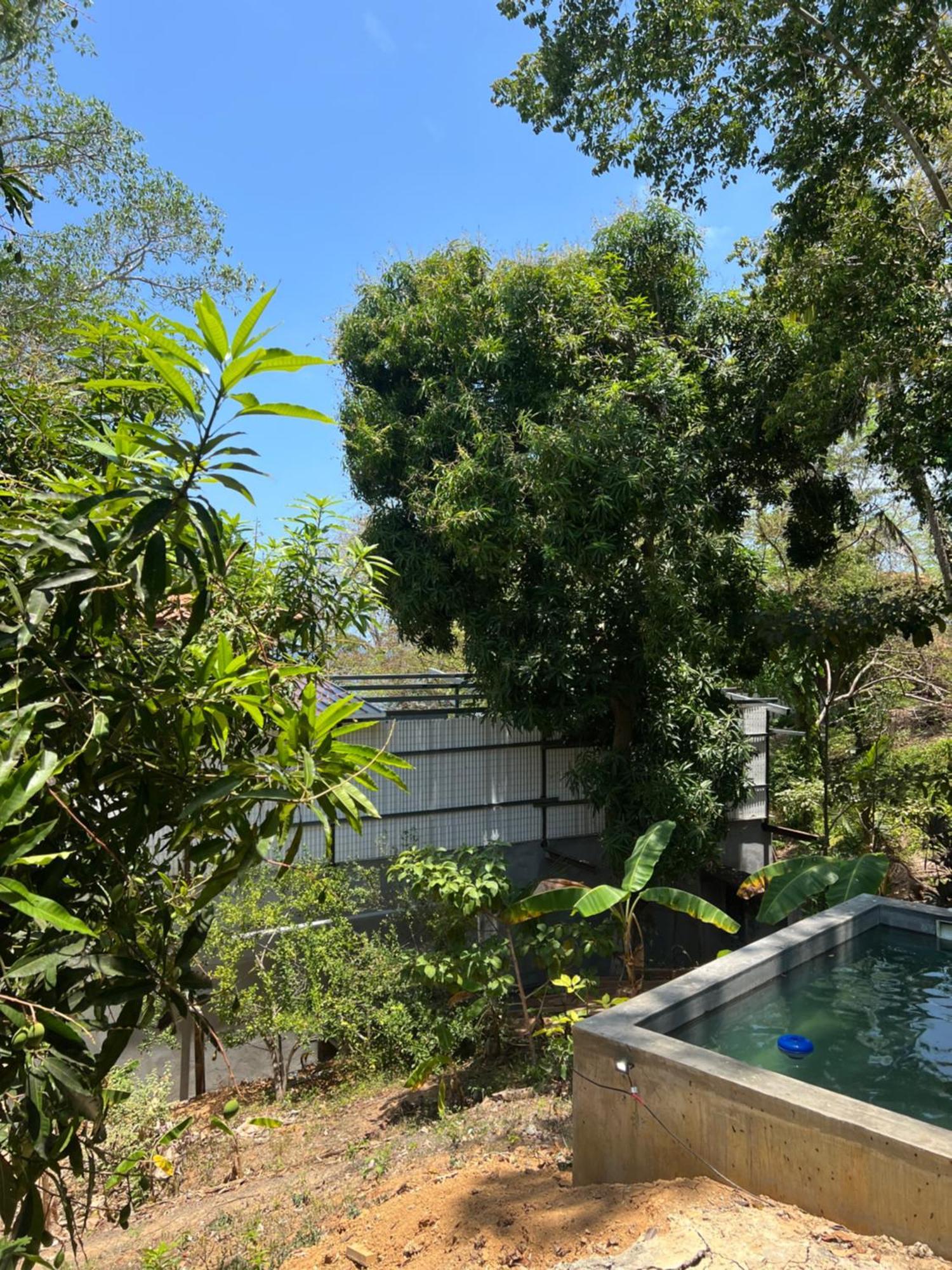 Hostel-island Paradise, Saboga And Noelia (adults Only) 5* Panama Stadt